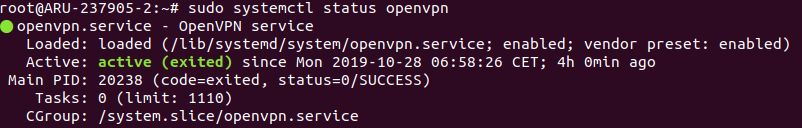 OpenVPN Service Status